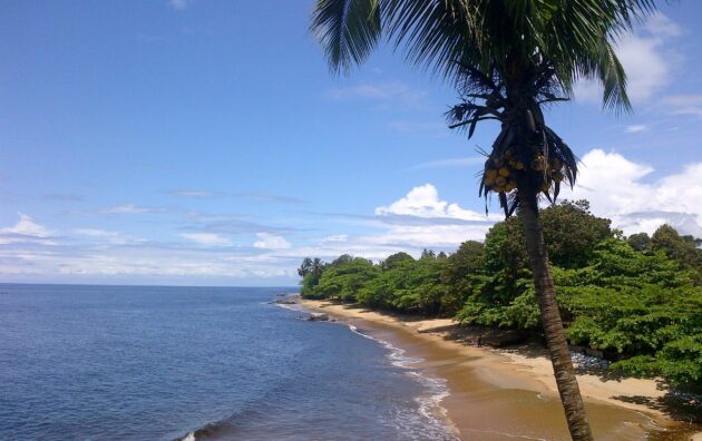 Kribi, Joyau Côtier du Cameroun : Un Tour d’Horizon des Lieux Touristiques Incontournables